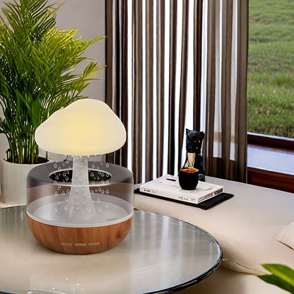 Rain Cloud Humidifier